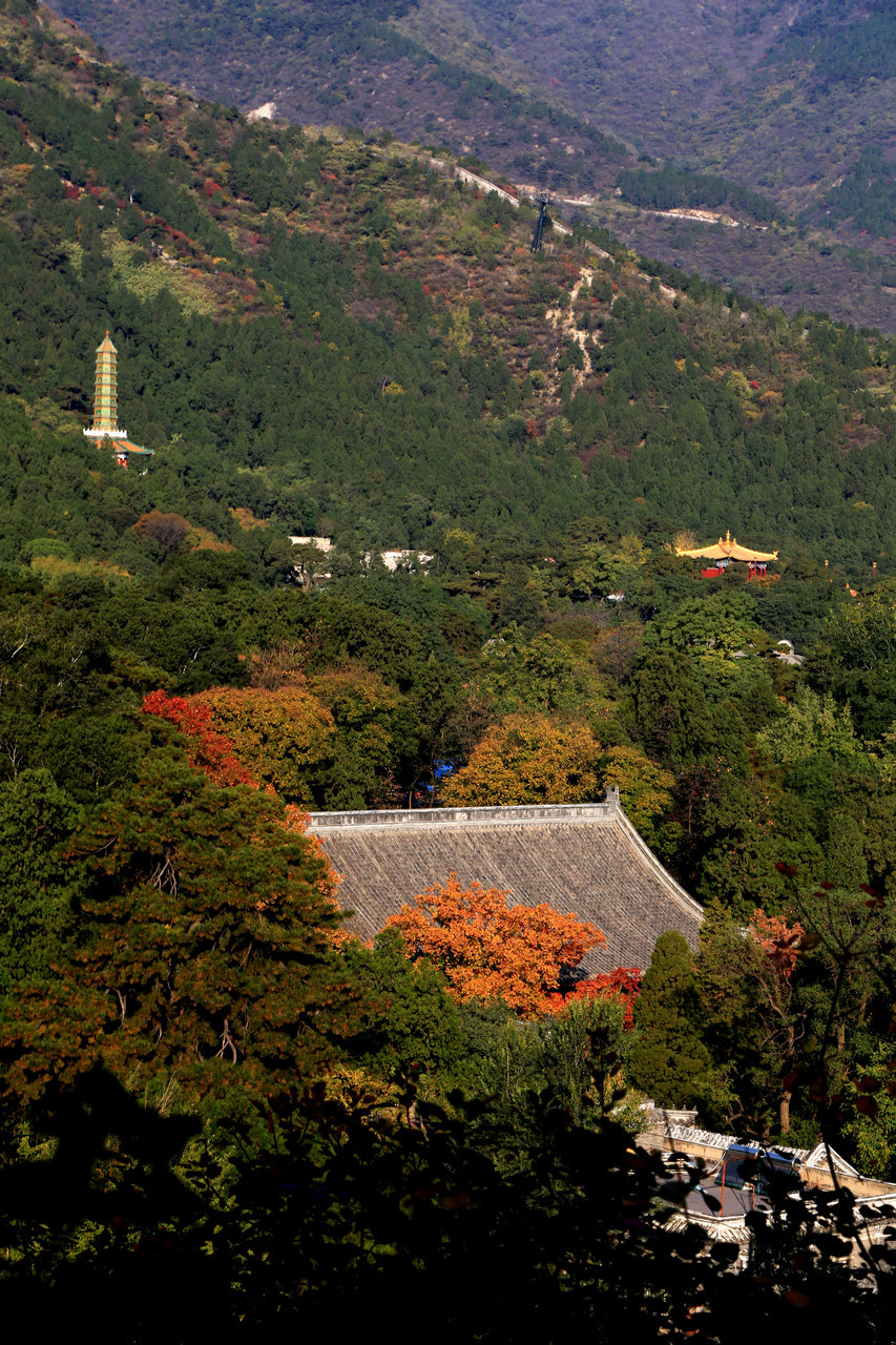 香山公园全景图片图片