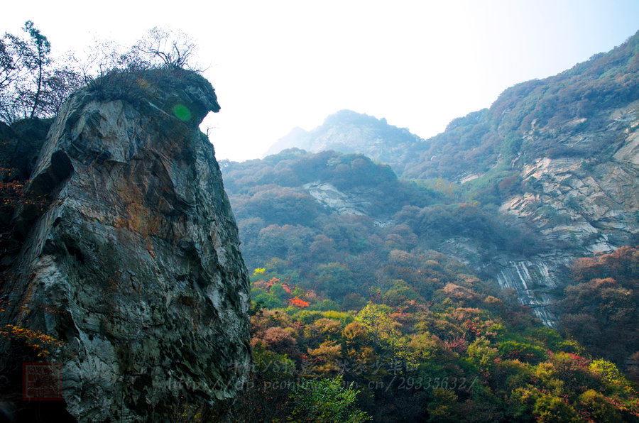 【秋浸少华山摄影图片】陕西省华县少华山风光