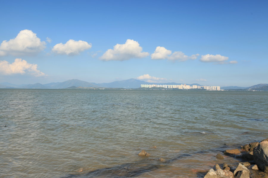 深圳湾大海图片图片