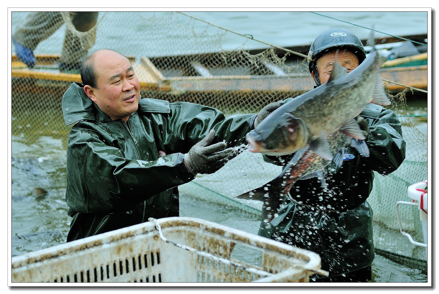 碧波湖浦鱼忙