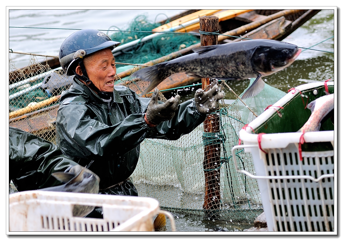 碧波湖浦鱼忙