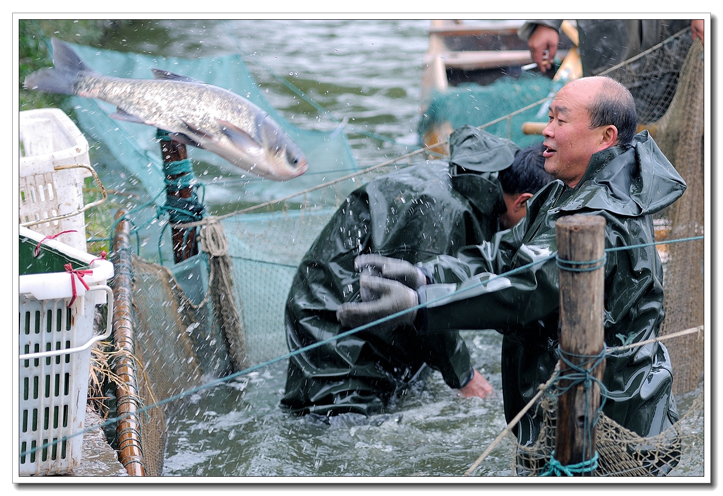 碧波湖浦鱼忙