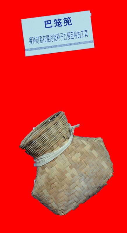 Ʒչʾ
