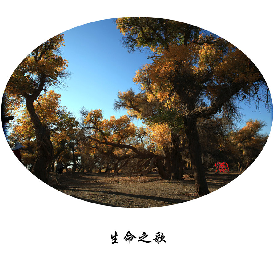 ֮
