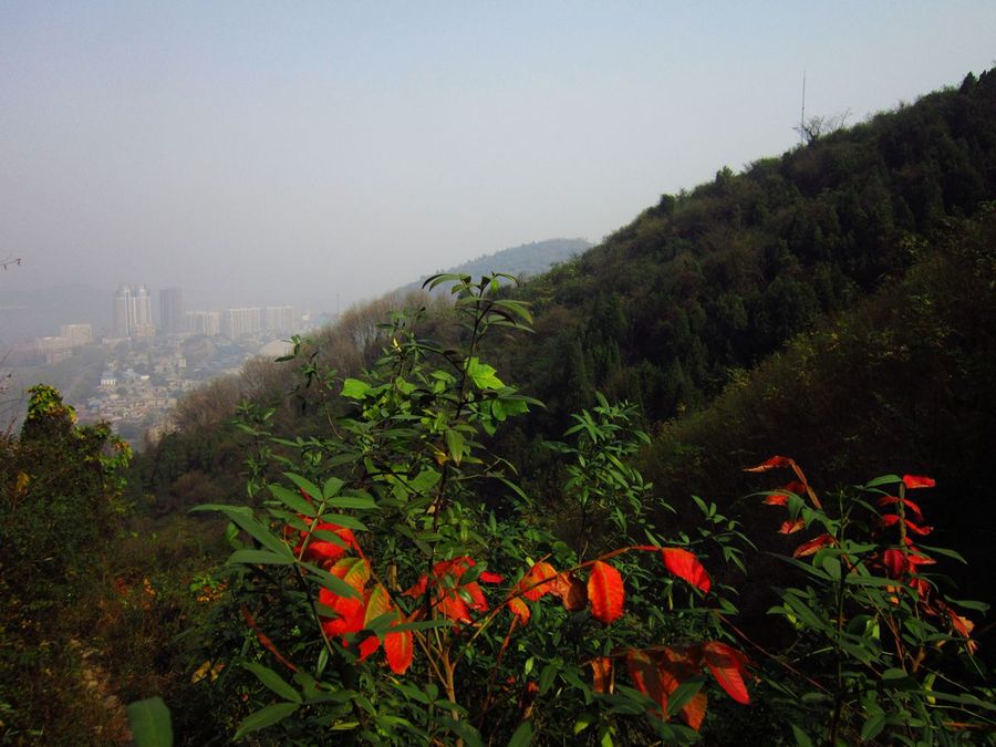 黄石黄金山图片