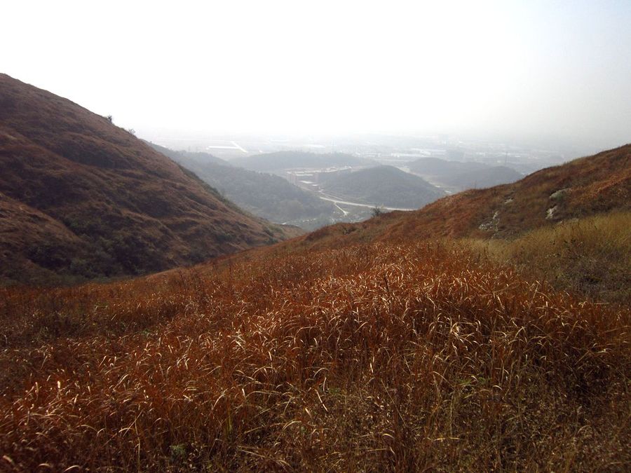 黄石黄金山图片