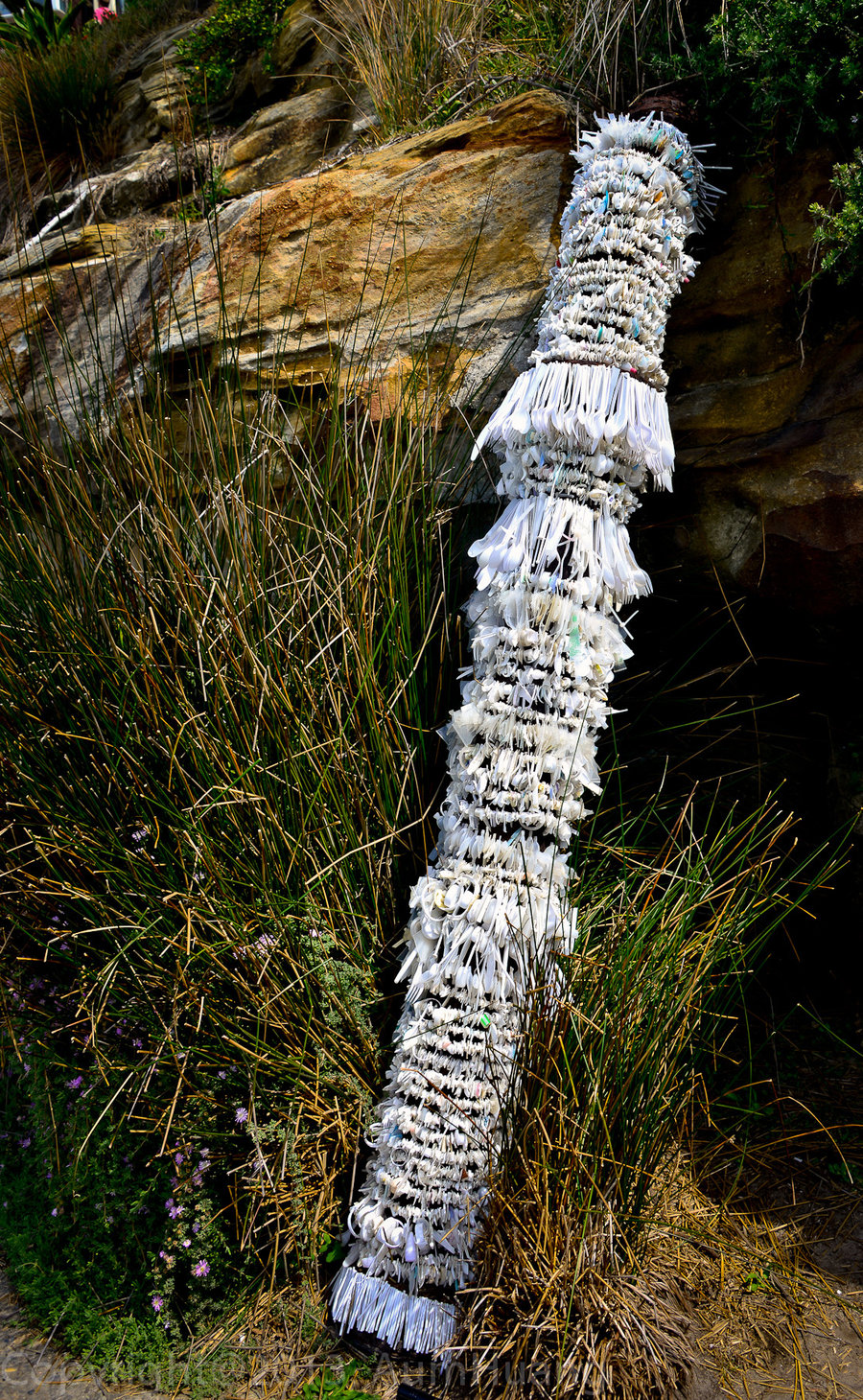 Sculptures by the Sea 2013