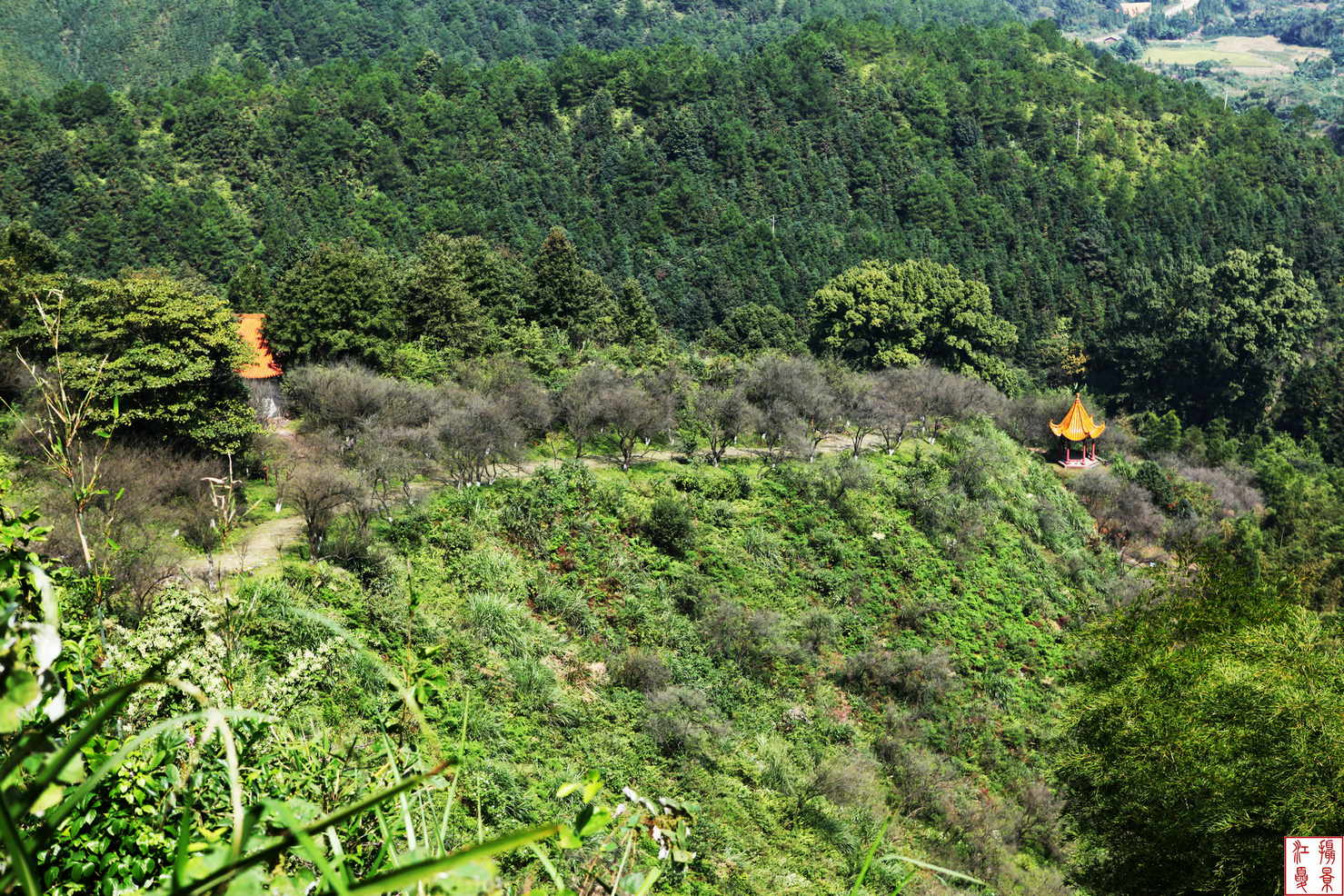 梅嶺古道