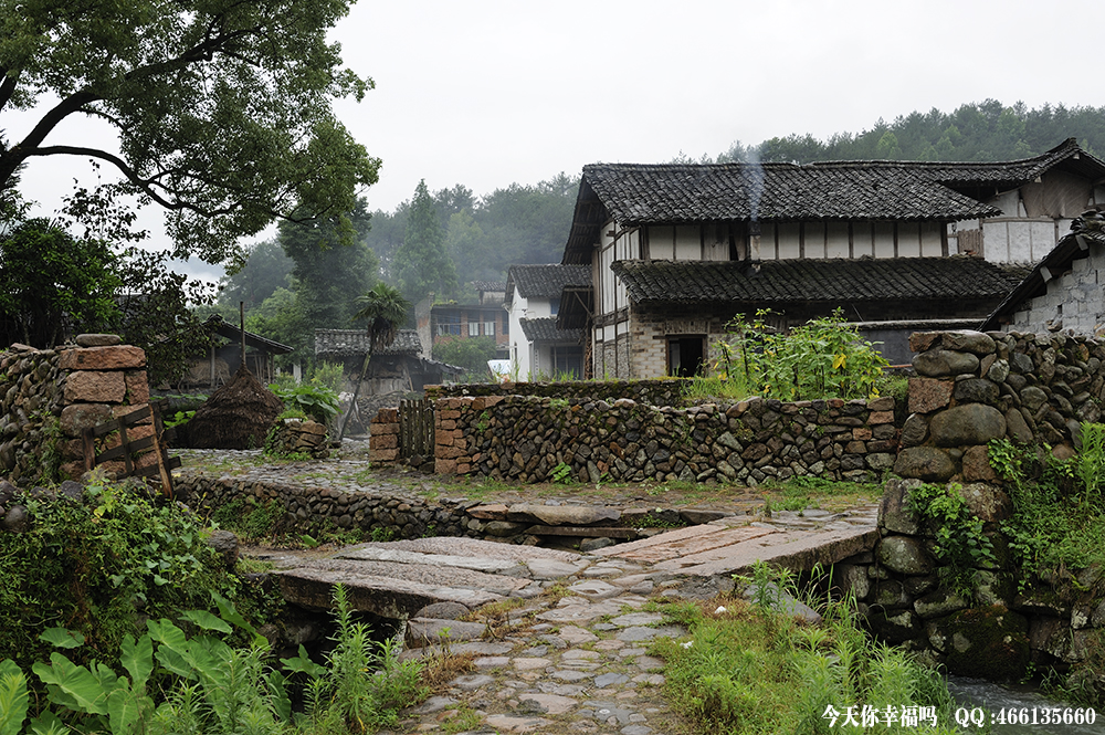 浙江屿北村