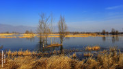 野鸭湖的冬天