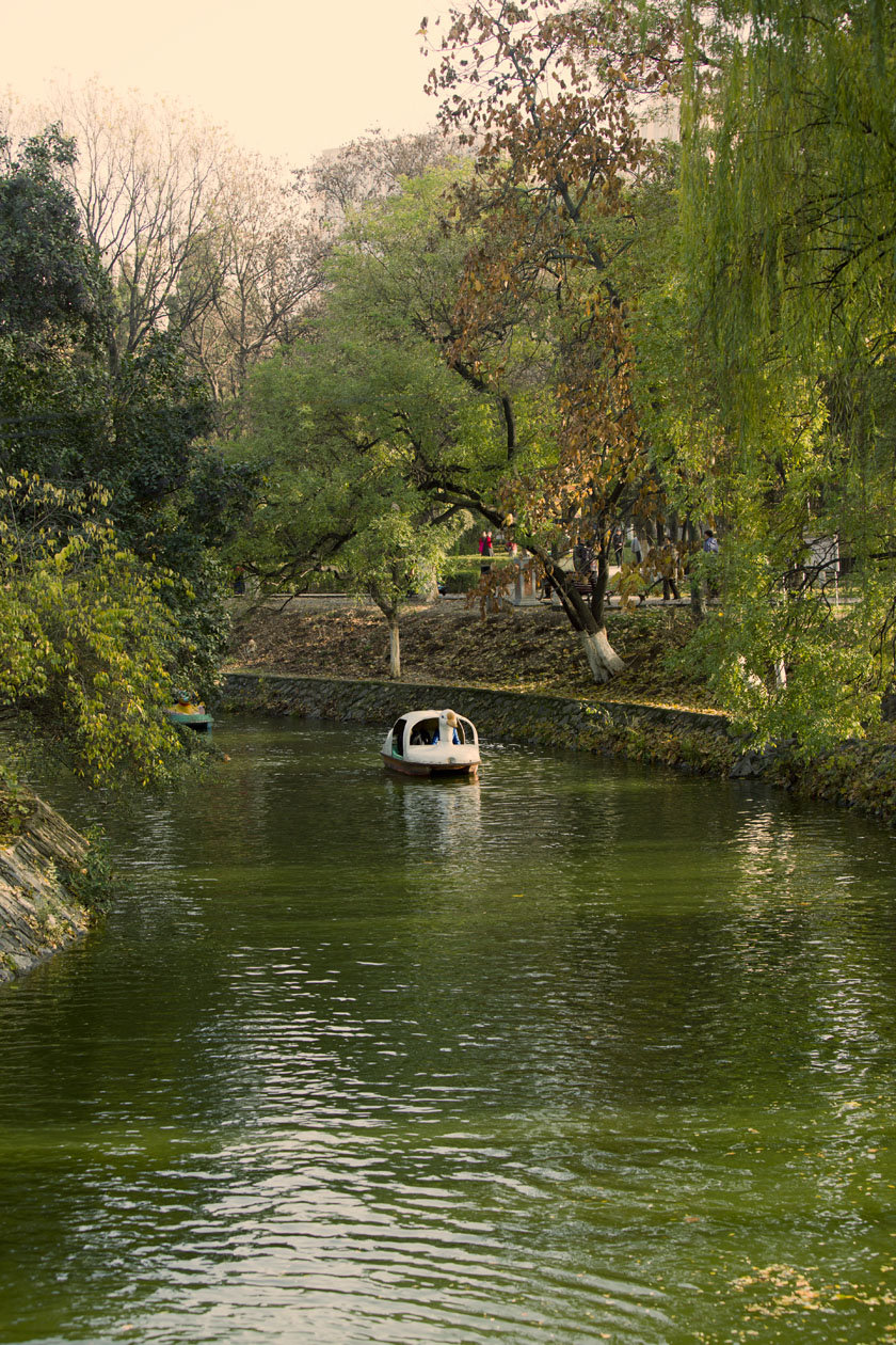 兴庆公园风景图片