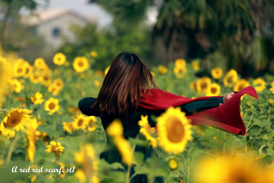 -A RED RED SCARF