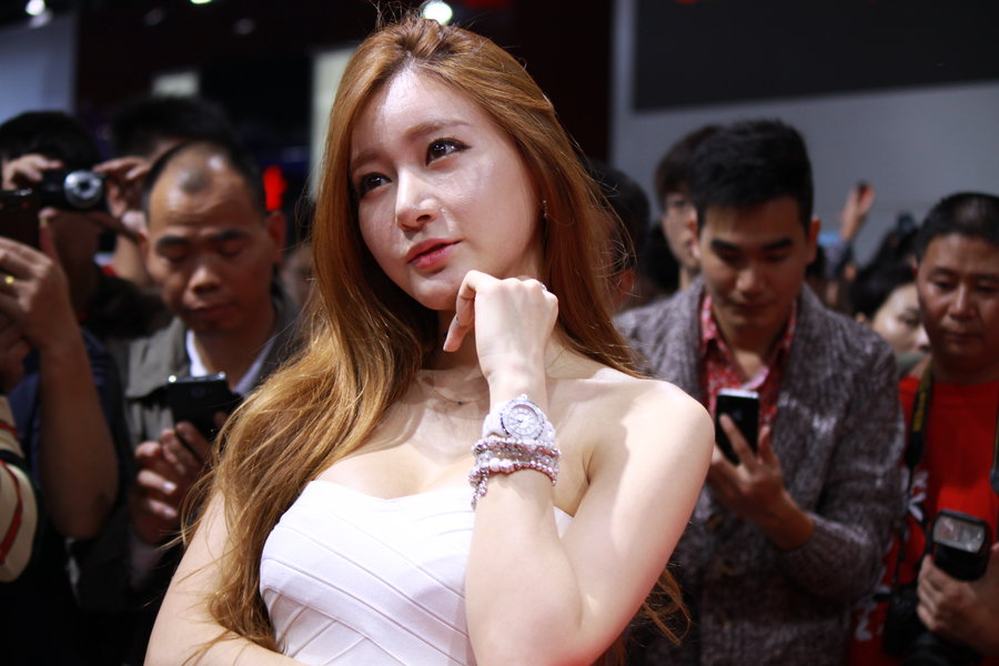 2013ݹʳչɰģ