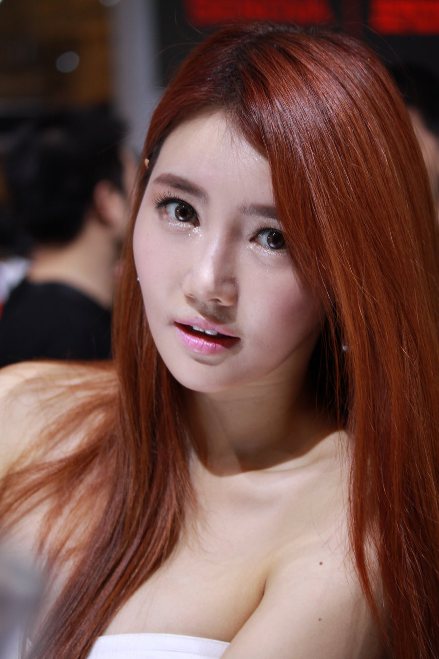 2013ݹʳչɰģ