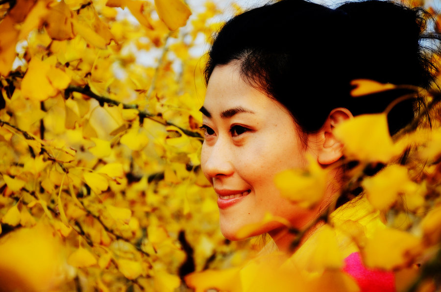 Golden gingko dream