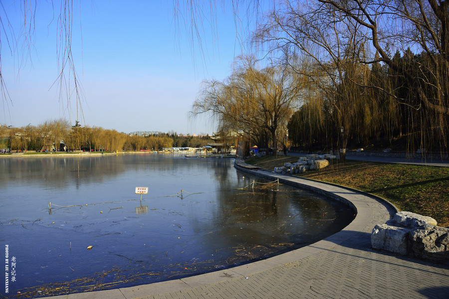 北京陶然亭公园冬日