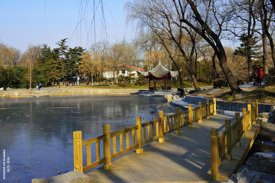 北京陶然亭公园冬日
