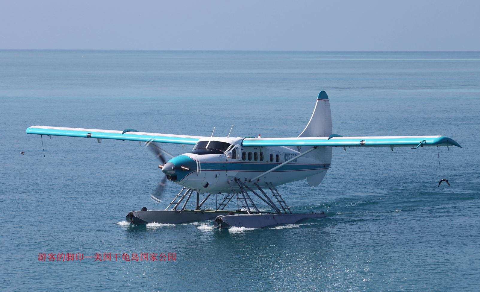世界十大水上飞机图片