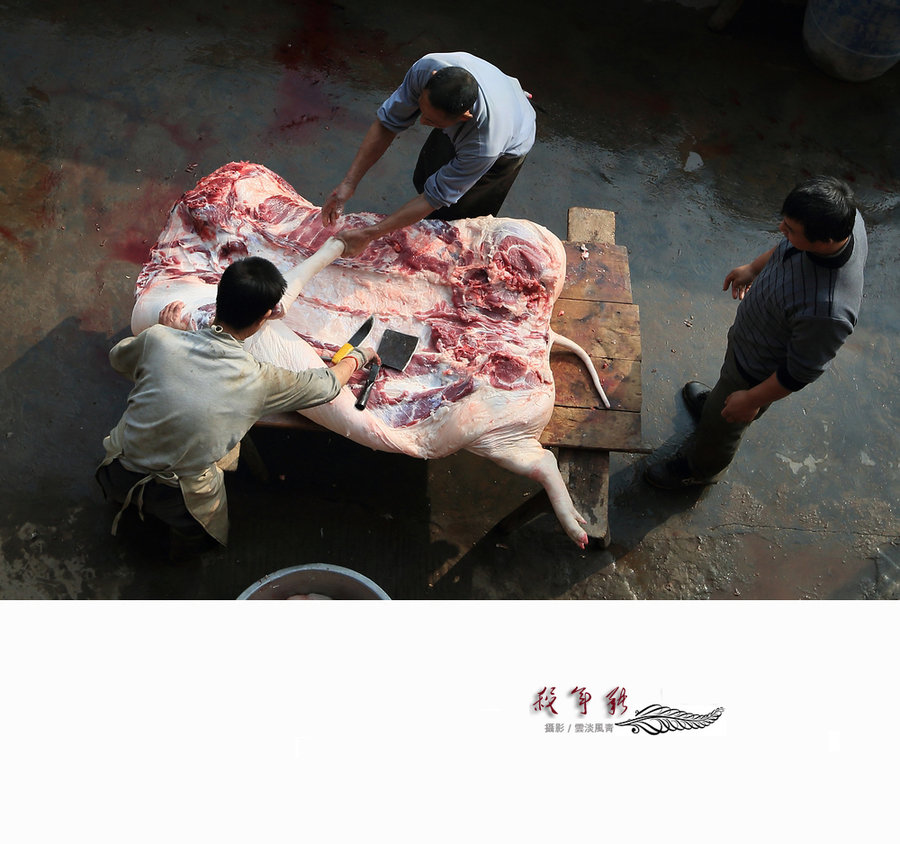 彝族过年杀猪的图片图片