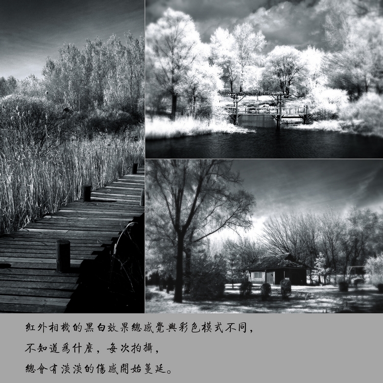 ټ2013
