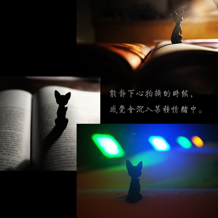 ټ2013