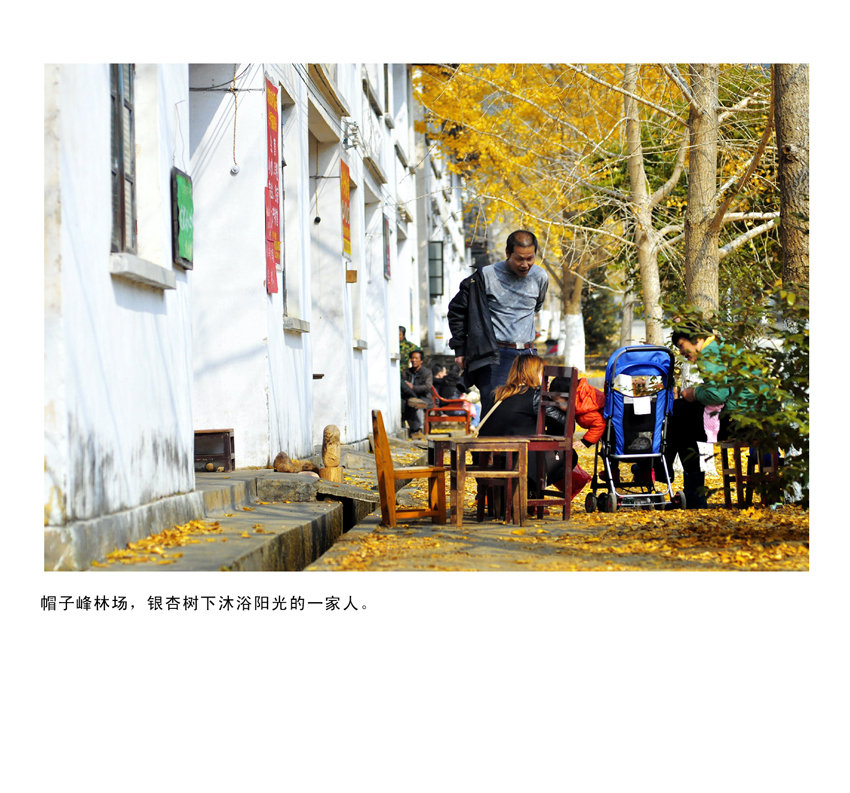 ֪
