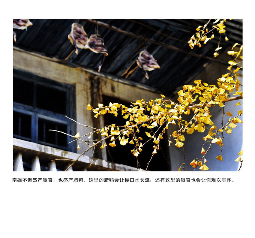 ֪