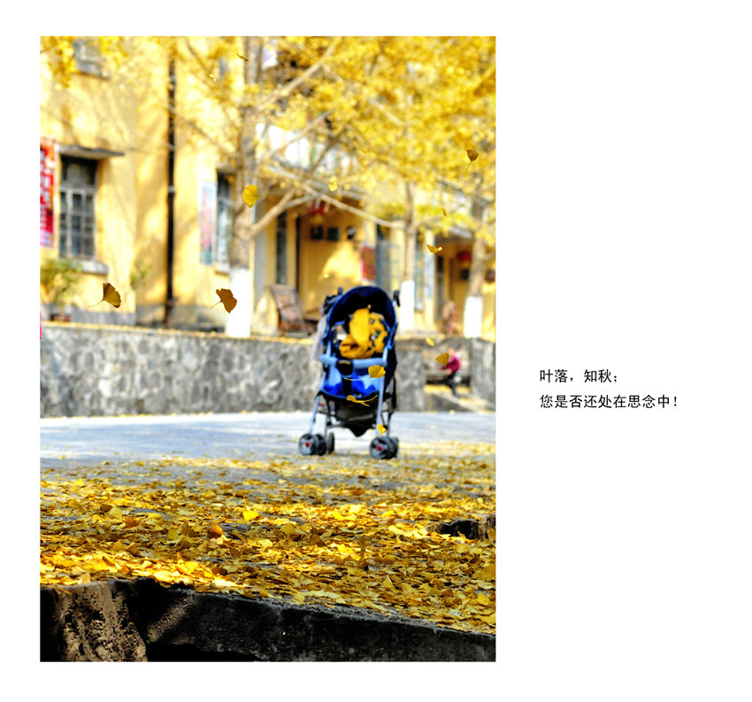 ֪