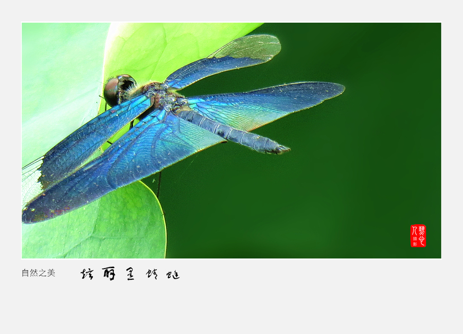 Ųʺ