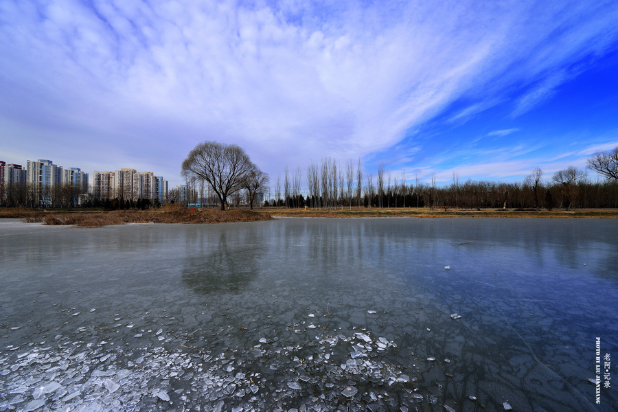 北京将府公园冬日（2013）