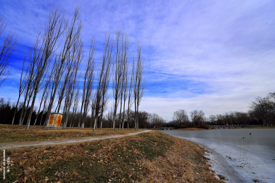 北京将府公园冬日（2013）