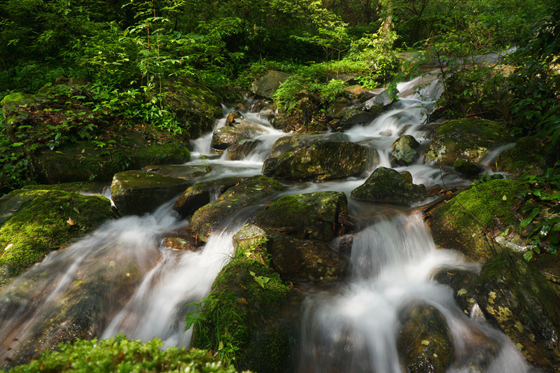 佛顶山水韵