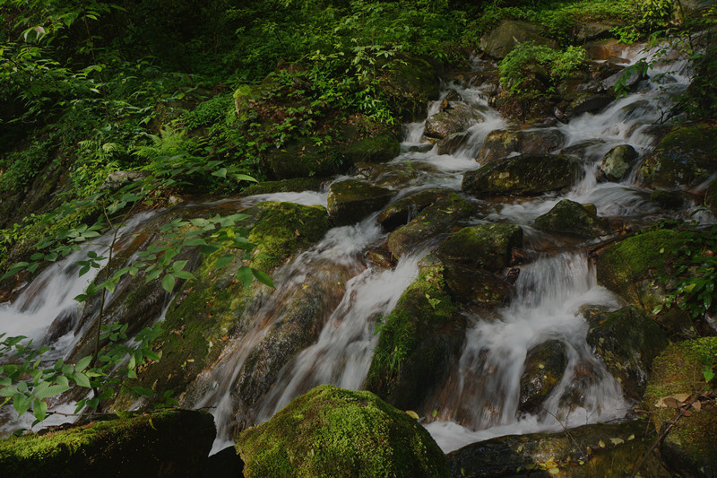 佛顶山水韵