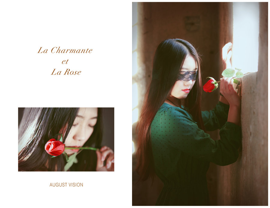 La charmante et la rose