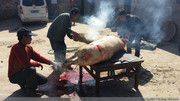 实拍滇东山区苗村“杀猪饭”