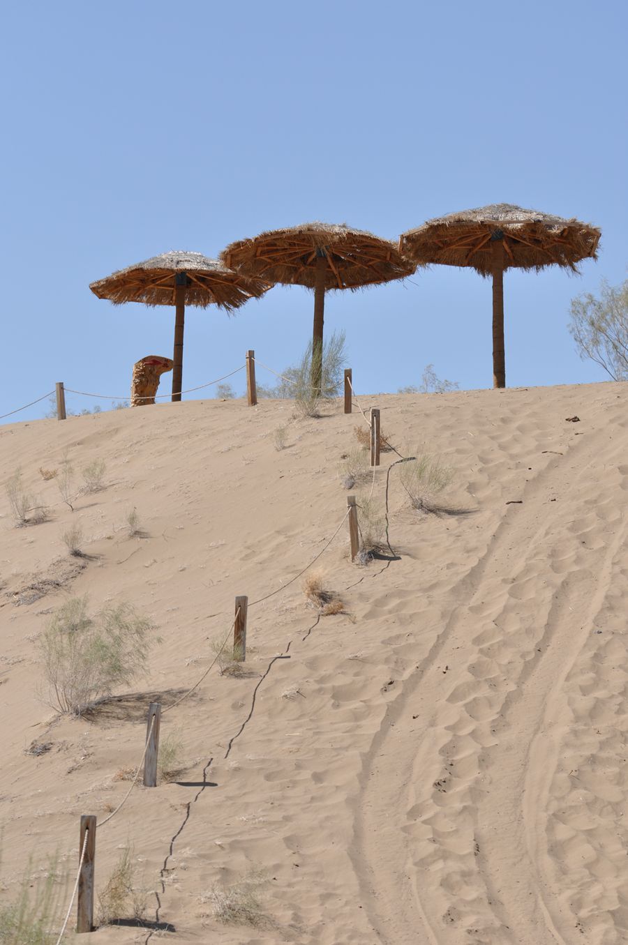 驼铃梦坡沙漠公园图片