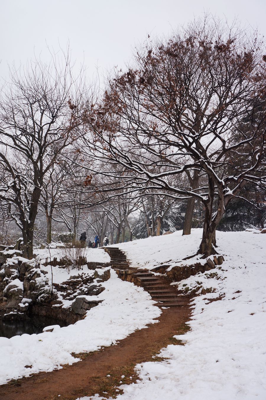 "瑞雪兆丰年-2014年春节青岛雪景掠影