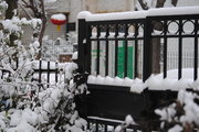 马年青岛第一场雪