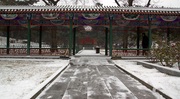 雪润京城
