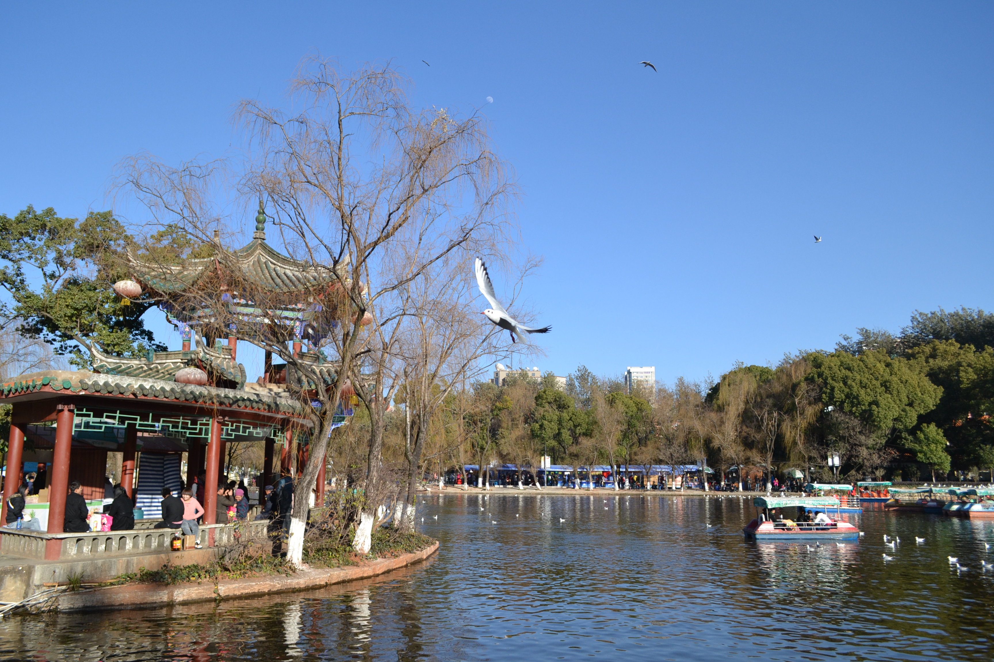 昆明翠湖公园照片图片