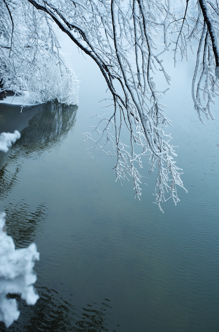 庐山花径雪景图片