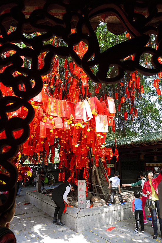 新年许愿图片发朋友圈图片