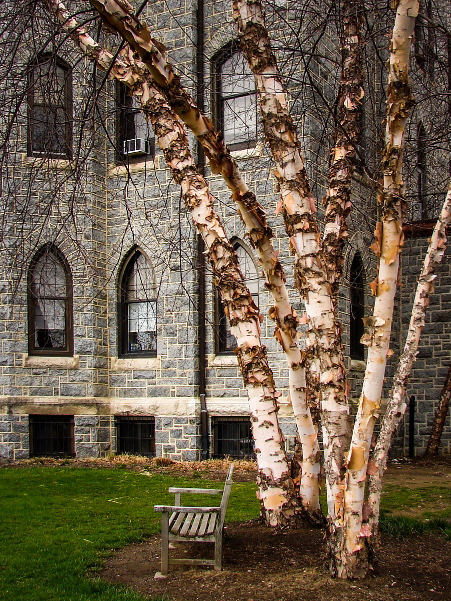 Villanova university ϣ