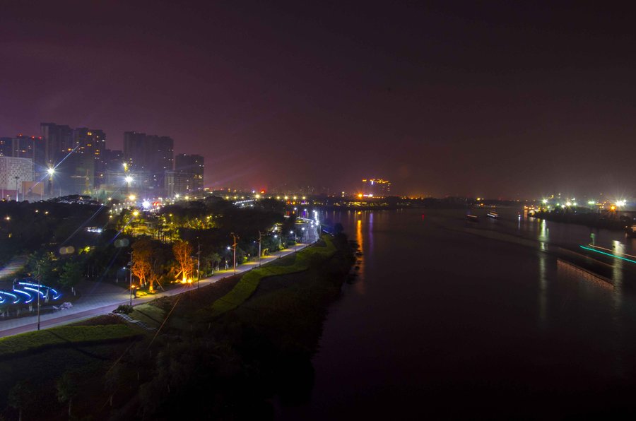 佛山东平大桥夜景图片