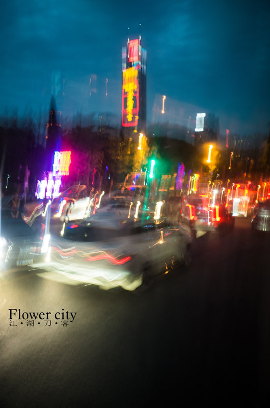 flower city-1 Ricoh GR