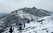 涂山春雪