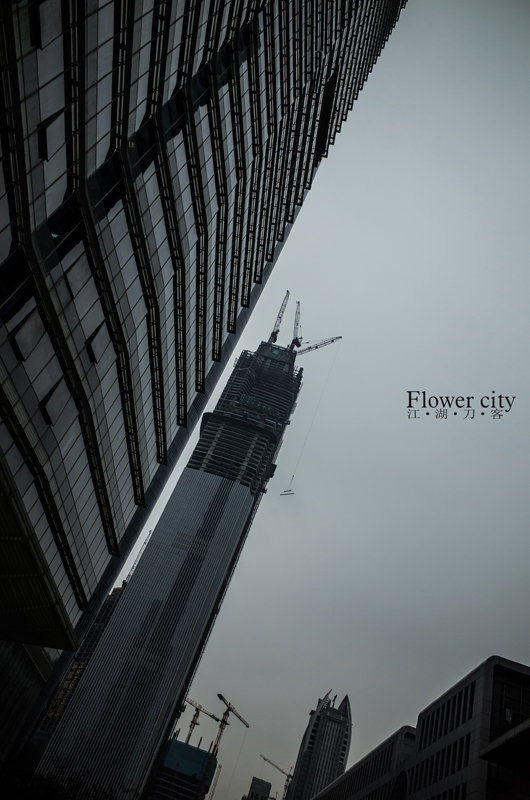 flower city-4 Ricoh GR