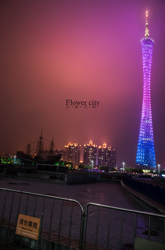 flower city-4 Ricoh GR