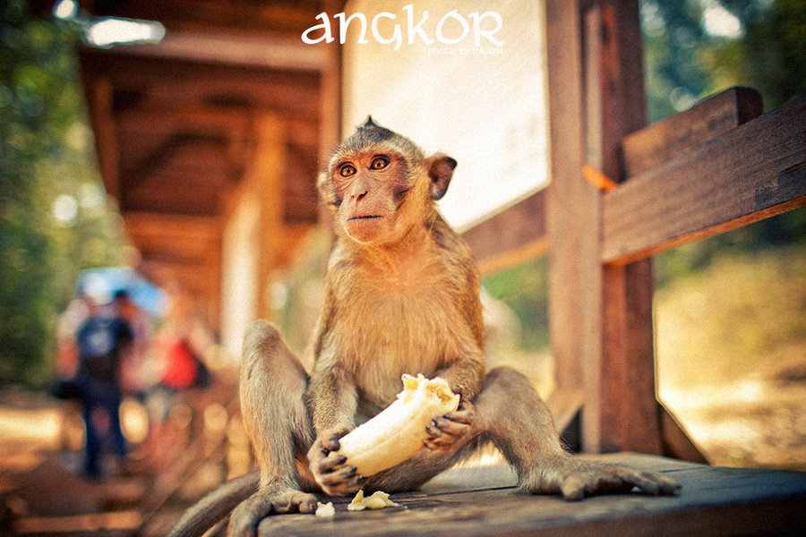 Angkor