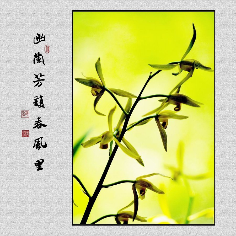 𥴺